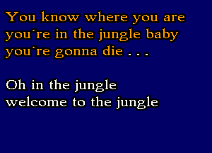 You know where you are
you're in the jungle baby
youTe gonna die . . .

Oh in the jungle
welcome to the jungle