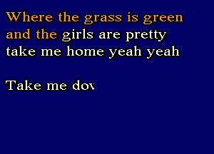 XVhere the grass is green
and the girls are pretty
take me home yeah yeah

Take me dox