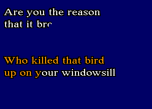 Are you the reason
that it brr

XVho killed that bird
up on your windowsill