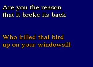 Are you the reason
that it broke its back

XVho killed that bird
up on your windowsill