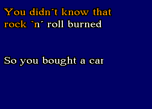 You didn't know that
rock n' roll burned

So you bought a cat