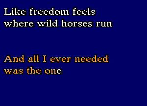 Like freedom feels
Where wild horses run

And all I ever needed
was the one