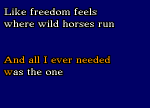 Like freedom feels
Where wild horses run

And all I ever needed
was the one