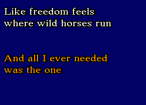 Like freedom feels
Where wild horses run

And all I ever needed
was the one