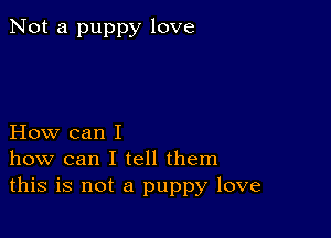 Not a puppy love

How can I
how can I tell them
this is not a puppy love