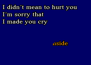 I didn't mean to hurt you
I'm sorry that
I made you cry