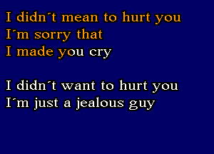 I didn't mean to hurt you
I'm sorry that
I made you cry

I didn't want to hurt you
I'm just a jealous guy