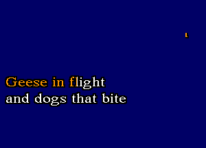 Geese in flight
and dogs that bite