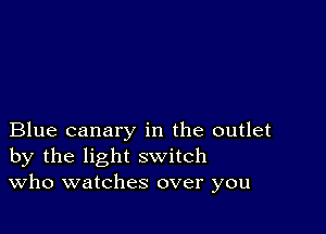 Blue canary in the outlet
by the light switch
Who watches over you