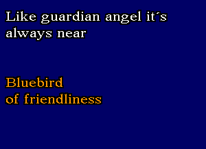 Like guardian angel it's
always near

Bluebird
of friendliness