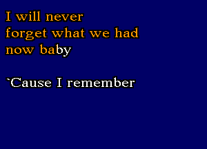 I Will never
forget what we had
now baby

Cause I remember