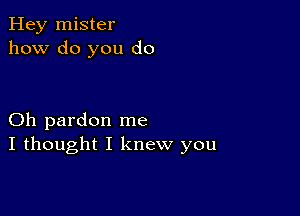 Hey mister
how do you do

Oh pardon me
I thought I knew you