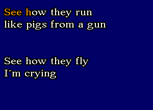 See how they run
like pigs from a gun

See how they fly
I'm crying