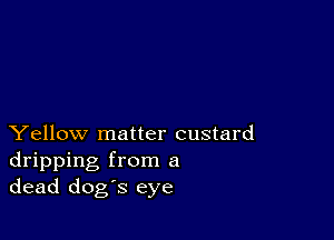 Yellow matter custard
dripping from a
dead dog's eye