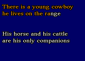 There is a young cowboy
he lives on the range

His horse and his cattle
are his only companions