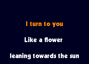 I turn to you

Like a flower

leaning towards the sun