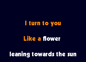 I turn to you

Like a flower

leaning towards the sun