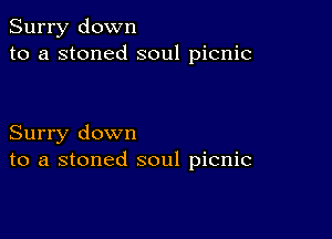 Surry down
to a stoned soul picnic

Surry down
to a stoned soul picnic