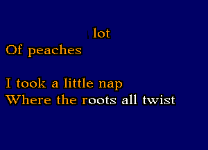 lot
Of peaches

I took a little nap
Where the roots all twist