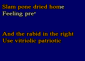 Slam pone dried home
Feeling pref

And the rabid in the right
Use vitriolic patriotic