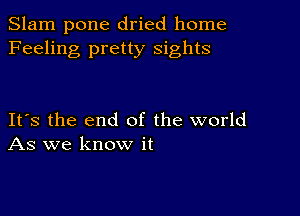 Slam pone dried home
Feeling pretty sights

Its the end of the world
As we know it