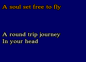 A soul set free to fly

A round trip journey
In your head