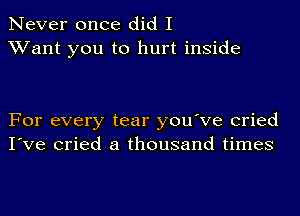 Never once did I
Want you to hurt inside

For every tear you've cried
I've cried a thousand times