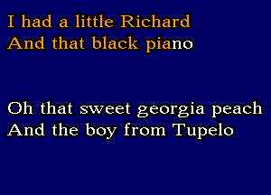 I had a little Richard
And that black piano

Oh that sweet georgia peach
And the boy from Tupelo