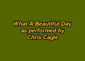 What A Beautiful Day

as performed by
Chris Cagle