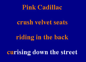 Pink Cadillac

crush velvet seats

riding in the back

curising down the street