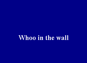 Whoo in the wall