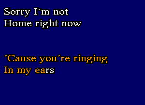 Sorry I'm not
Home right now

Cause you're ringing
In my ears