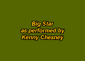 Big Star

as performed by
Kenny Chesney