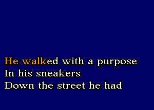 He walked with a purpose
In his sneakers
Down the street he had