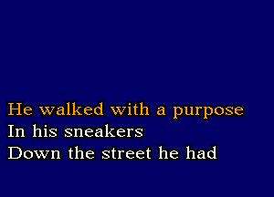 He walked with a purpose
In his sneakers
Down the street he had