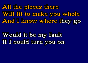 All the pieces there
Will fit to make you whole
And I know where they go

Would it be my fault
If I could turn you on