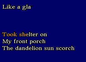 Like a gla

Took shelter on
IVIy front porch
The dandelion sun scorch