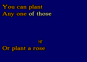 You can plant
Any one of those

2r
Or plant a rose