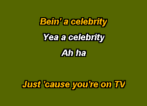 Bein' a celebrity

Yea a celebn'ty
Ah ha

Just 'cause you're on TV