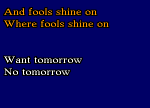 And fools shine on
XVhere fools shine on

XVant tomorrow
No tomorrow