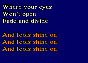 XVhere your eyes
XVon't open
Fade and divide

And fools shine on
And fools shine on
And fools shine on