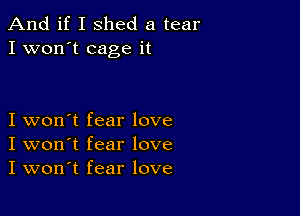 And if I shed a tear
I won't cage it

I won't fear love
I won't fear love
I won't fear love