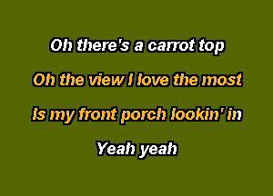 Oh there's a carrot top

on the view I love the most
Is my front porch lookin' in

Yeah yeah