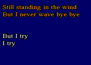 Still standing in the wind
But I never wave bye bye

But I try
I try