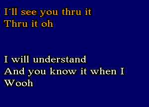 I'll see you thru it
Thru it oh

I will understand
And you know it When I
Wooh