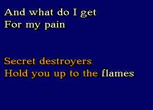 And what do I get
For my pain

Secret destroyers
Hold you up to the flames