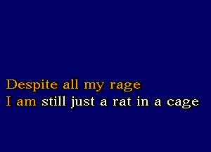 Despite all my rage
I am still just a rat in a cage