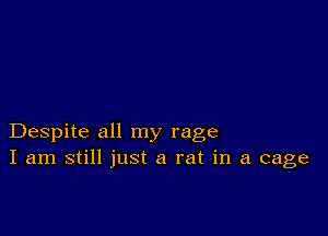 Despite all my rage
I am still just a rat in a cage