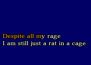 Despite all my rage
I am still just a rat in a cage