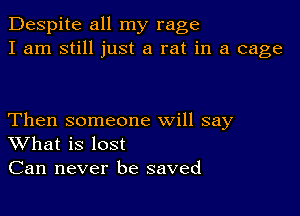 Despite all my rage
I am still just a rat in a cage

Then someone will say
What is lost
Can never be saved